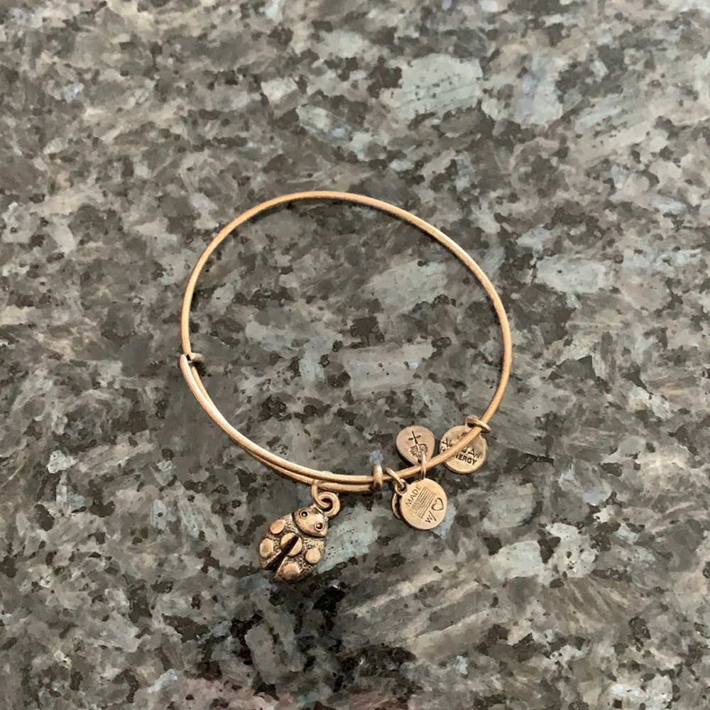 Alex and Ani bracelet